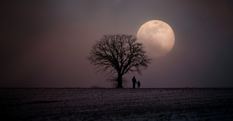 Ritme en levenskracht